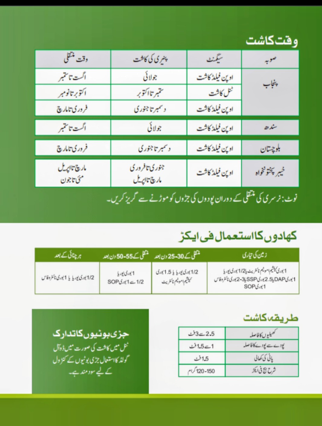 Orobelle, Sweet pepper 